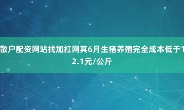 散户配资网站找加杠网其6月生猪养殖完全成本低于12.1元/公斤
