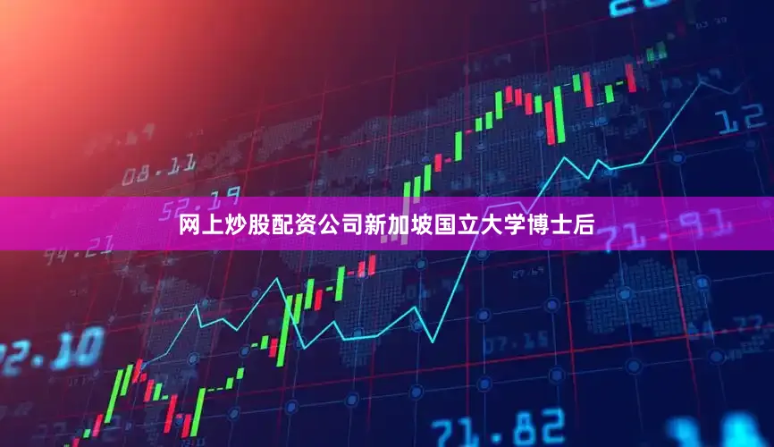 网上炒股配资公司新加坡国立大学博士后